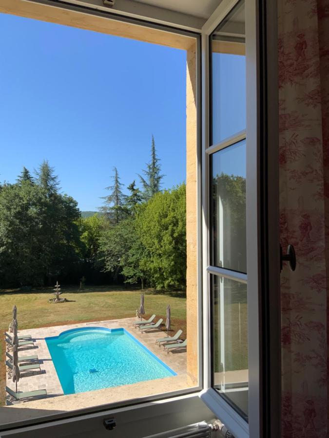 Chateau D'Argentonesse Castels Luaran gambar